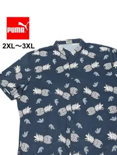 PUMA GOLF パイナップル柄 セットアップ リッキーファウラー風 美品