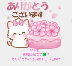 sea様♡専用出品です✨のサムネイル