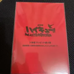 ゴミ捨て場の決戦 ハイキュー ビジュアルボード第4弾 孤爪研磨 梟谷 木兎 赤葦