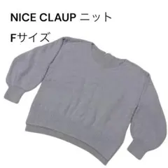 NICE CLAUP ニット セーター 長袖 Vネック スリット F パープル
