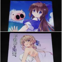 ロボ@プロフを読んでください様 リクエスト 2点 まとめ商品