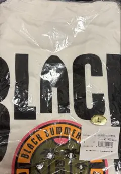 千葉ロッテマリーンズ BSW ビックTシャツ Lサイズ