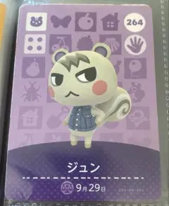 2025年最新】amiiboジュンの人気アイテム - メルカリ