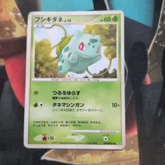 フシギダネ PROMO ADV-Pプロモカード 051/ADV-P 明治 - メルカリ