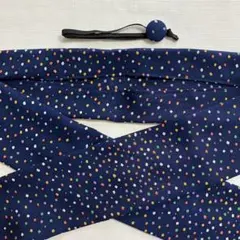 Item thumbnail for item 95d54371-945b-455b-9382-c0718ce32839