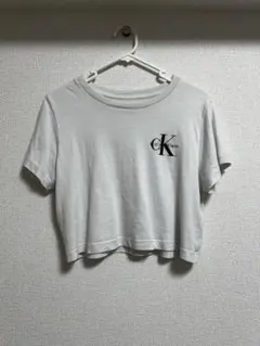 《Calvin Klein》 tシャツ XSサイズのサムネイル
