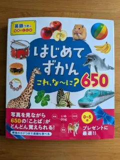はじめてずかん これ、な〜に？ 650 英語つき 絵本 知育 図鑑