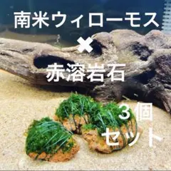 mu⚠️プロフご一読ください様 リクエスト 2点 まとめ商品