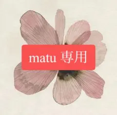 matu 専用