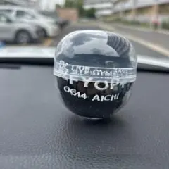B’z FYOP＋ 愛知限定 リストバンド