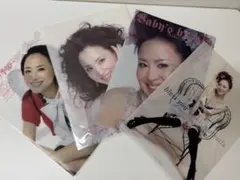 松田聖子さん クリアファイル 1枚 2025 ツアークリアファイルセット BLUE｜松田聖子｜felicia club