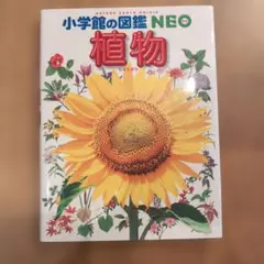 Item thumbnail for item 4ee00b7e-5c1f-486f-b9df-abc33bc26da4