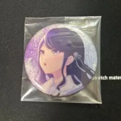 プロセカ　星乃一歌　その音が鳴るなら　cd特典缶バッジ　エピカ　色紙 プロセカ レオニ CD 特典 缶バッジ 星乃一歌 ゲーマーズ その音が鳴る