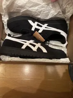 希少 asics JAPAN PRO アシックス ジャパンプロ 27cm - メルカリ