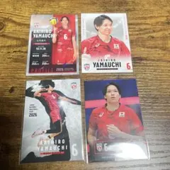 バレーボール 男子日本代表2026 トレカ　山内晶大