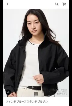 ユニクロ　ウインドプルーフスタンドブルゾンM