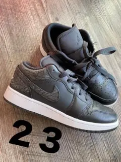 Item thumbnail for item 1dee9244-a578-46d9-aca8-9daf7ea21b4b