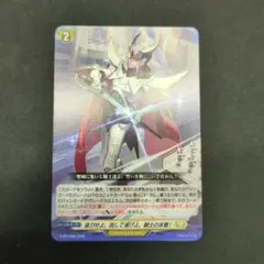 ヴァンガード 抜刀せよ。而して遂げよ、騎士の本懐! ノーマル - メルカリ