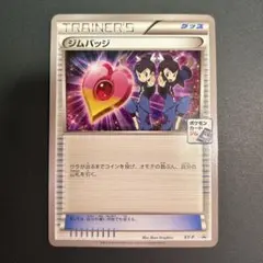 ジムバッジ フウとラン ジムプロモ XY XY-P プロモ