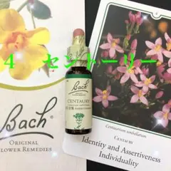 Item thumbnail for item 0bcf7c49-3839-4694-84c5-d9e784108fd1