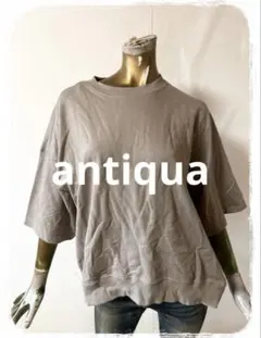 ☘️T17657☘️antiqua 半袖 裏毛プルオーバー トレーナー F