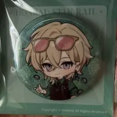 崩壊スターレイル アベンチュリン タオバオ特典 缶バッジカバー 18点セット 崩壊：スターレイル LIVEシリーズ キャラクター缶バッジ