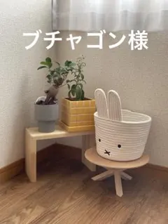ブチャゴン様　専用