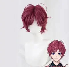 魔法使いの約束 まほやく クロエ ウィッグ