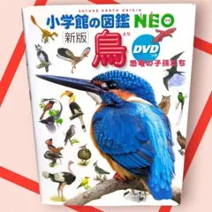 [新版]　小学館の図鑑NEO　鳥　恐竜の子孫たちのサムネイル