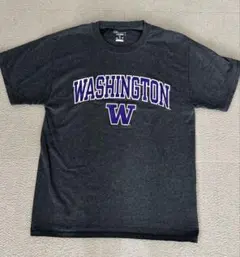 Champion T Washington大学ロゴ入りMサイズ ダークグレー