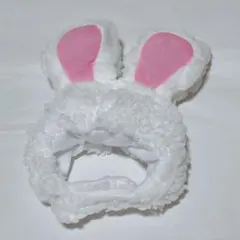 Item thumbnail for item 2bbd5cbf-e813-4cd4-8079-44aae2506b97