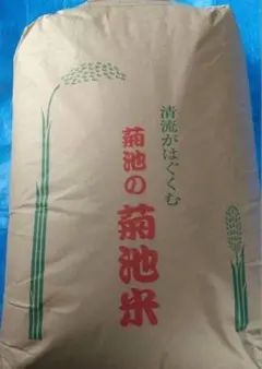 令和7年 熊本県産 ヒノヒカリ 20kg 白米 新米 菊池米のサムネイル
