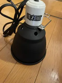 Item thumbnail for item ddb4e43d-6b21-423f-b748-f079acbccada