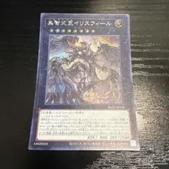 遊戯王　黒智天至イリスフィール シークレット