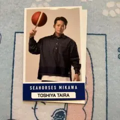 SEAHORSES MIKAWA TOSHIYA TAIRA ファングッズ