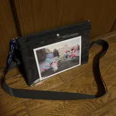 限界値下げ　美品　ディズニー実写　イマジニングザマジック　ショルダーバッグ