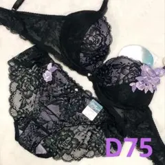 Item thumbnail for item 10125599-b747-4222-8ce9-048b97263599