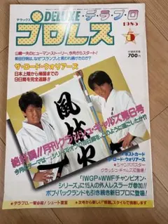 デラックスプロレス 1985年5月号 当時物　ポスター付