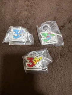 ポケモン 30周年 メタルチャームマスコット ピカチュウ