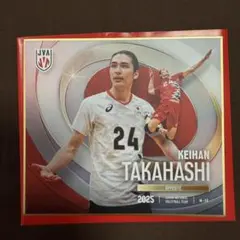ジェイテクトSTINGS バレーボール男子日本代表 高橋慶帆 ミニ色紙