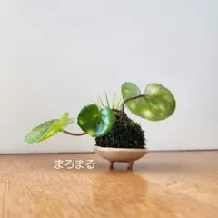 HERO-ME様 リクエスト 3点 まとめ商品