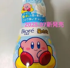 Item thumbnail for item 08c9f975-819a-4f3d-a5c6-c45d534eb1c4