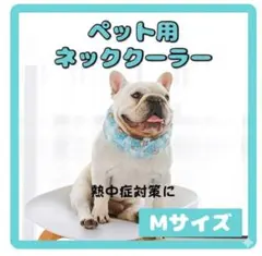 犬 クールネック ネッククーラー 保冷剤 Mサイズ 熱中症 散歩 ひんやり 夏のサムネイル