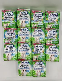 さわやかパッド ぬれ感0へ 80cc 安心の中量用 20枚入 14袋セットのサムネイル