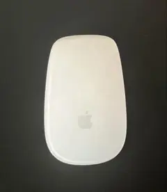 Apple Magic Trackpad A1296 本体