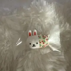 ウサコレフレンズ めじるしアクセサリー