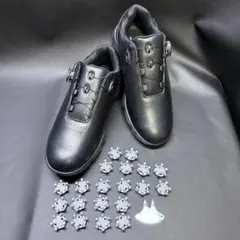 Item thumbnail for item ede73237-13b9-4a5e-bfcc-12778f652d04