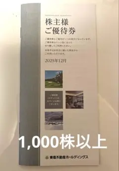 東急不動産ホールディングス　株主優待　1000株