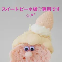 【スイートピー＊様♡おまとめ専用】チョコマシュマロA♡わんぱくビスケットちゃんA