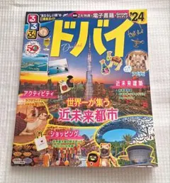 新品未使用品！ドバイ 近未来都市ガイド